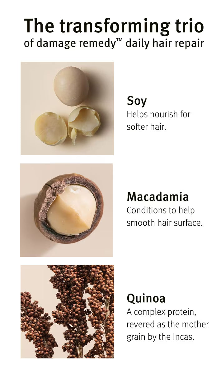 Aveda Damage Remedy Conditioner