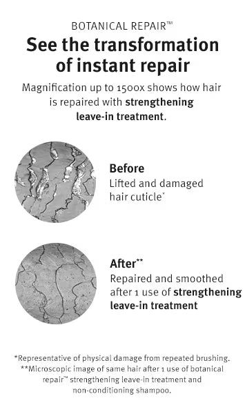 Aveda Botanical Repair Strengthening Conditioner