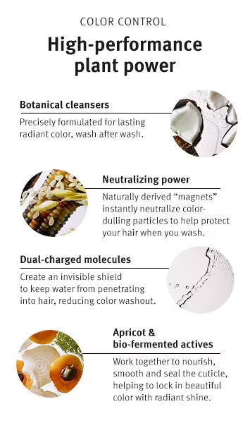 Aveda Color Control Shampoo